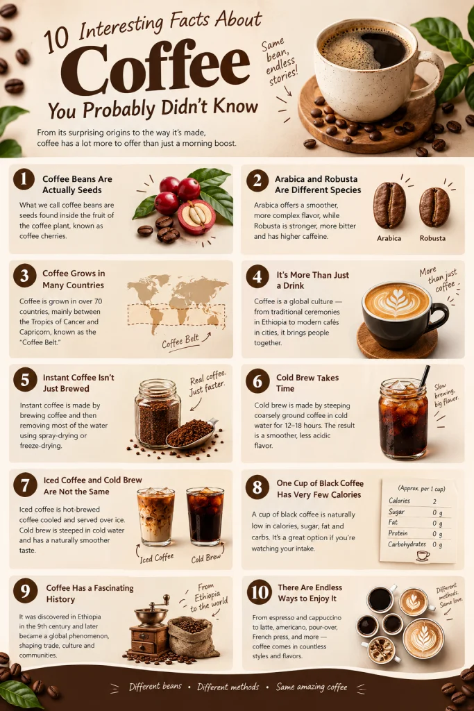 how do you make cold brew coffee